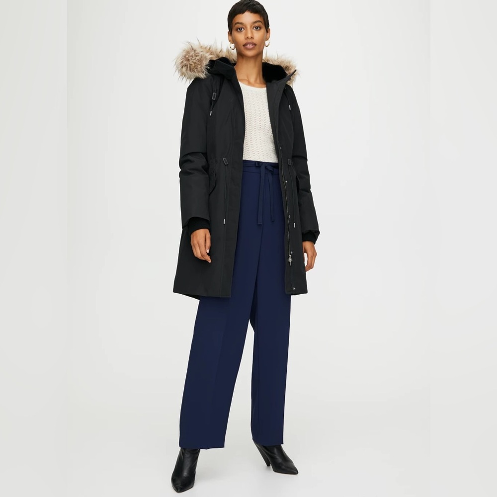 Aritzia Northstar Parka